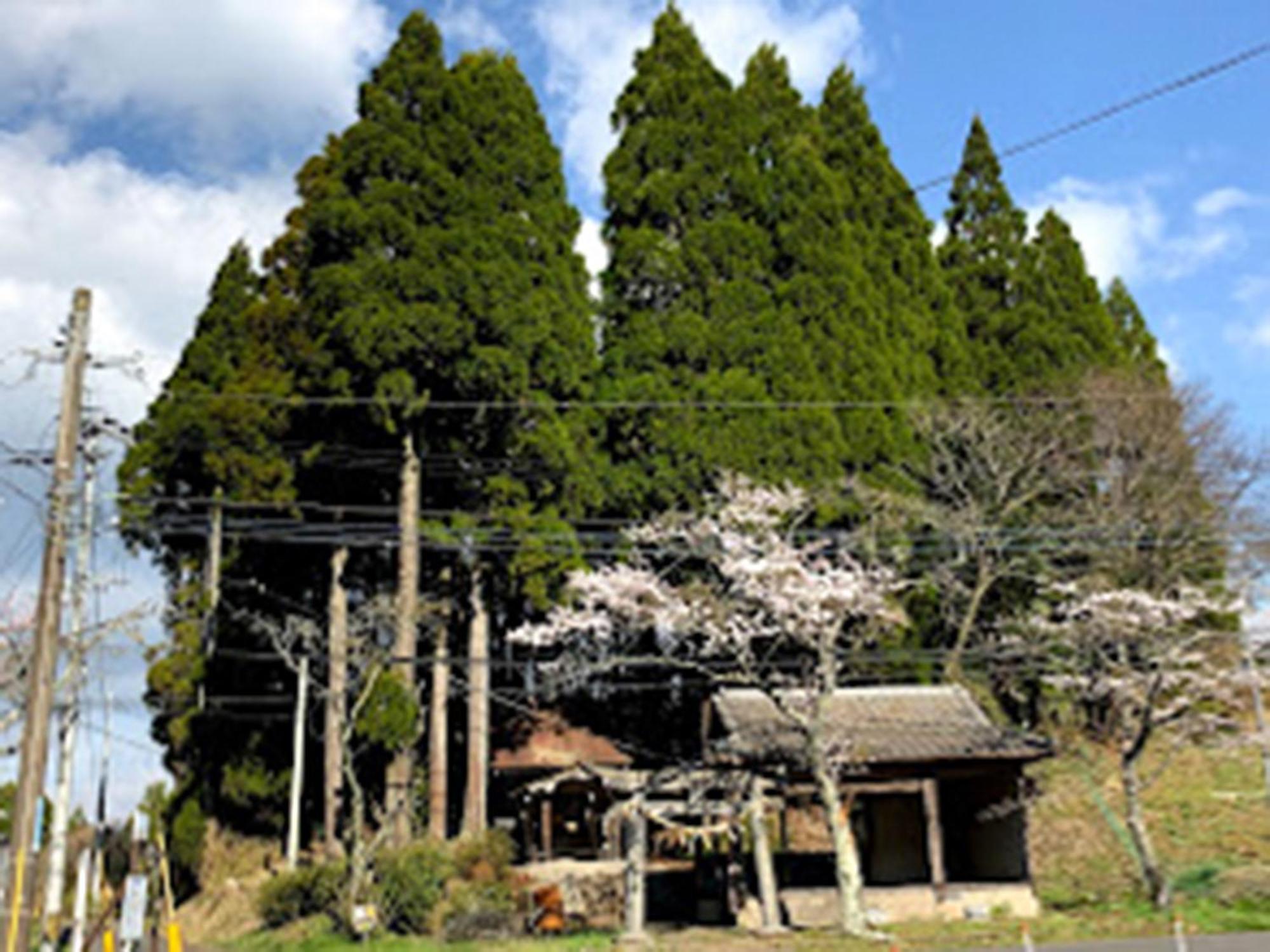 Guesthouse Kurihai Oita Exterior photo