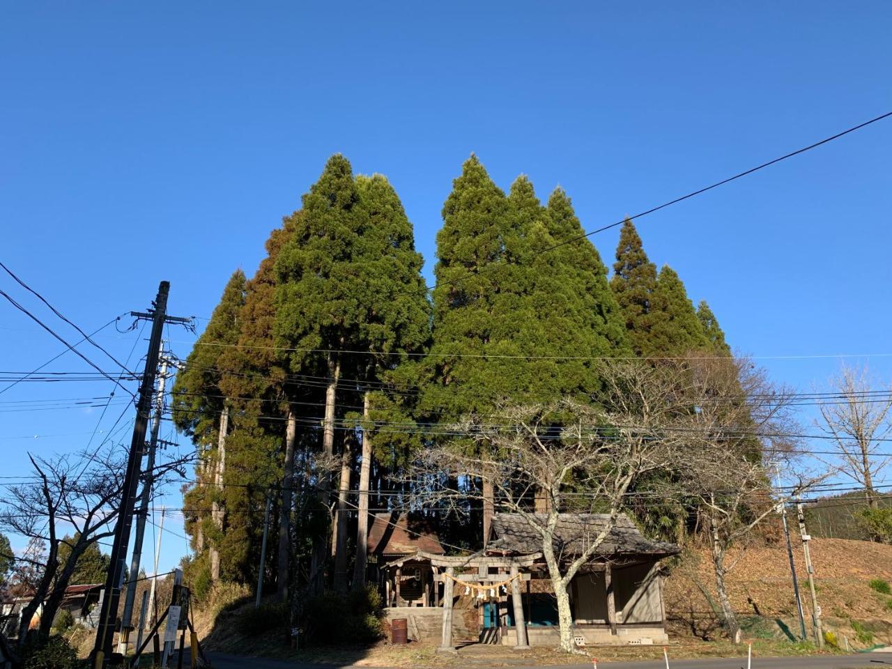 Guesthouse Kurihai Oita Exterior photo